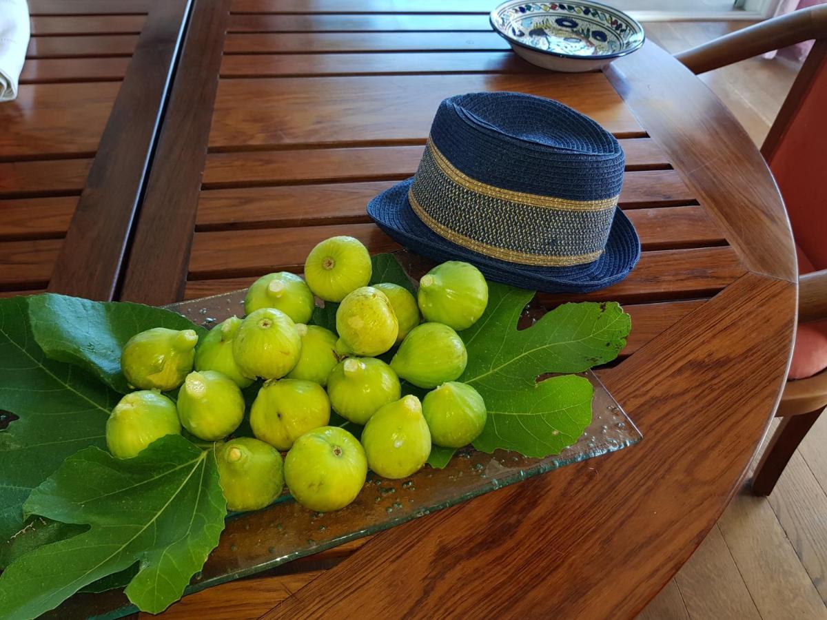Gite L'Appart De Case Vanille Sari-Solenzara Exterior foto