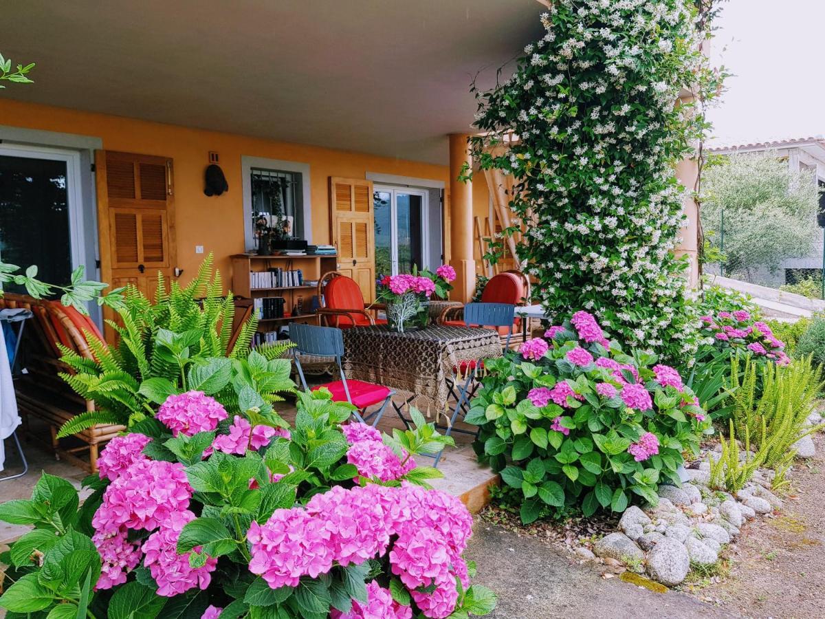 Gite L'Appart De Case Vanille Sari-Solenzara Exterior foto